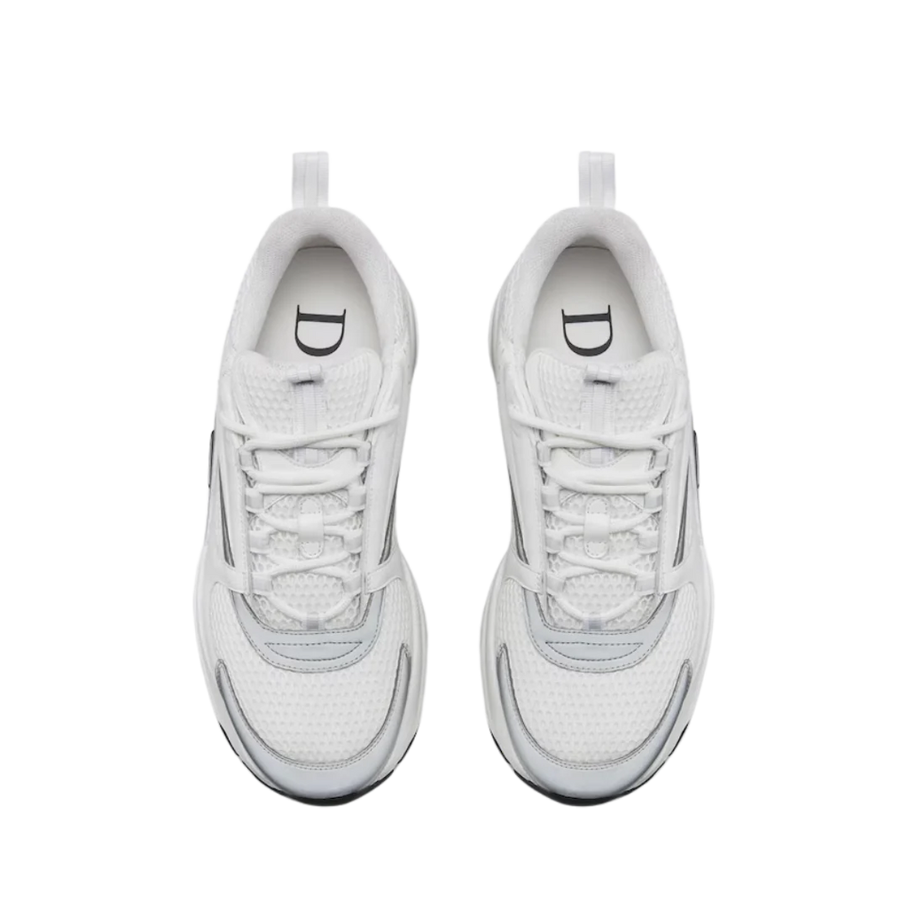 Dior B22 'White Grey'